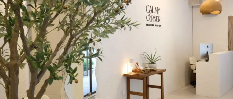Calmy Corner Holiday Inn Bangkok Silom