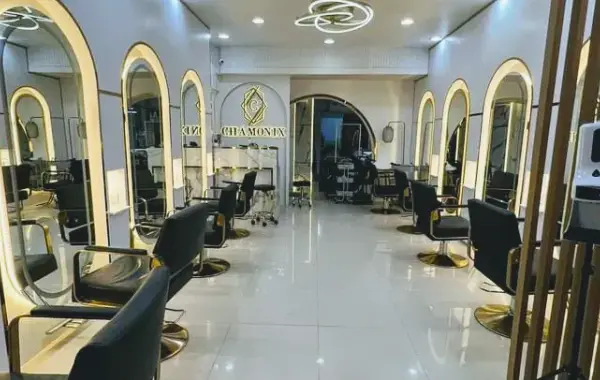 Chamonix Salon 2