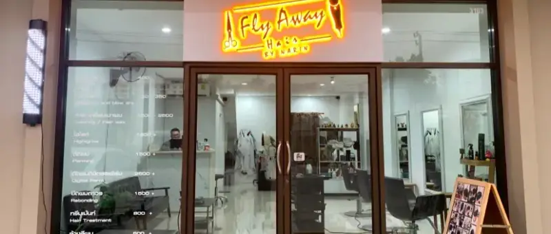 fly away hair by narin