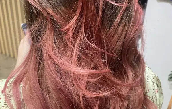 Live Salon 2