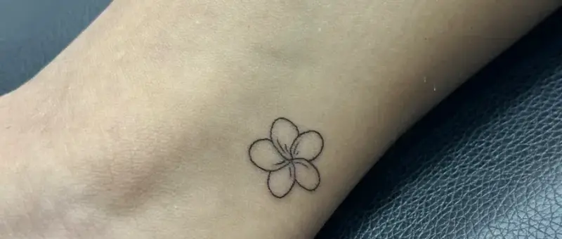 Tattoo O'd studio
