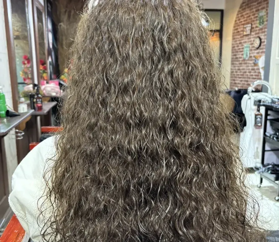 The Hairist (Pinklao)